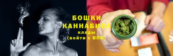 стаф Болхов