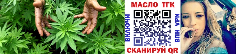 ТГК концентрат  Губкинский 