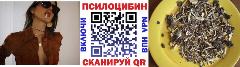 KRAKEN tor  Губкинский  Галлюциногенные грибы Psilocybine cubensis  где найти наркотики 