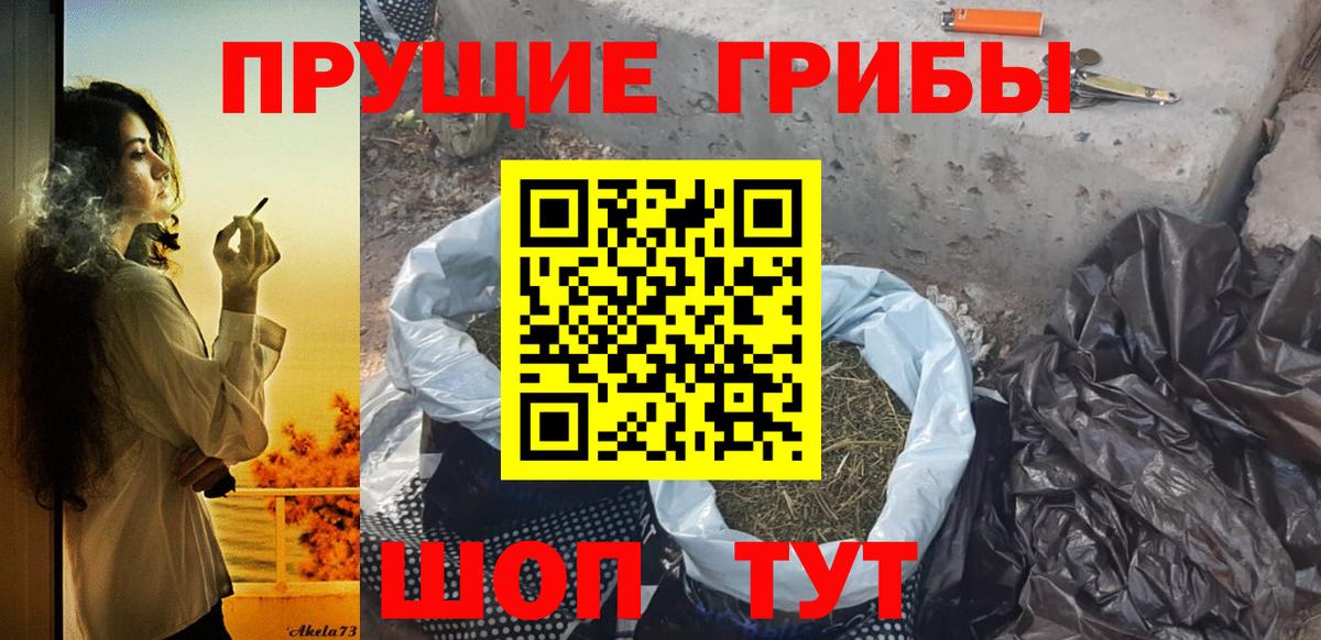 Галлюциногенные грибы Psilocybe Губкинский