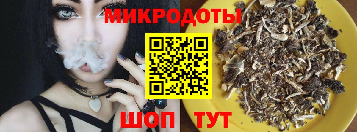 Псилоцибиновые грибы Psilocybe  Губкинский 