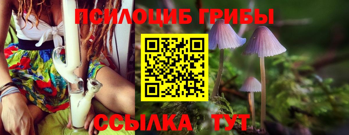 Губкинский  Галлюциногенные грибы Psilocybine cubensis  Вход с VPN  Галлюциногенные грибы GOLDEN TEACHER 