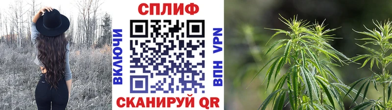 МАРИХУАНА семена  магазин продажи   гидра зеркало  Губкинский 